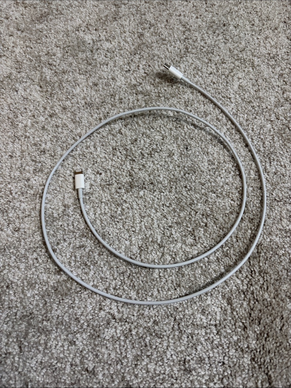 Apple White Lightning to USB C Cable